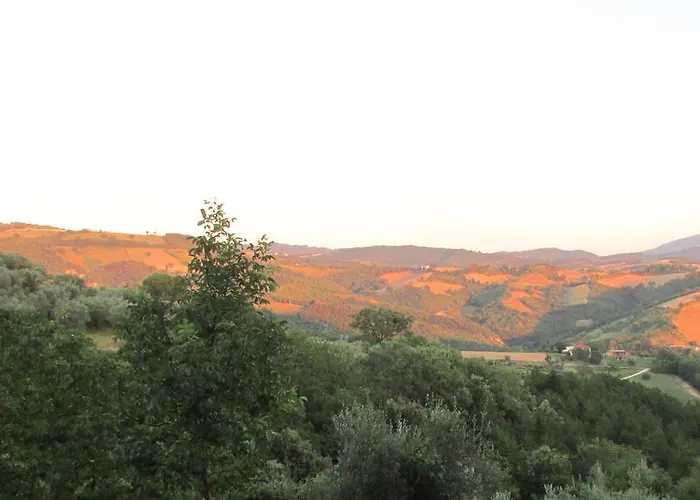 ファームステイ Dea