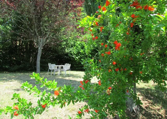 Dea ファームステイ *